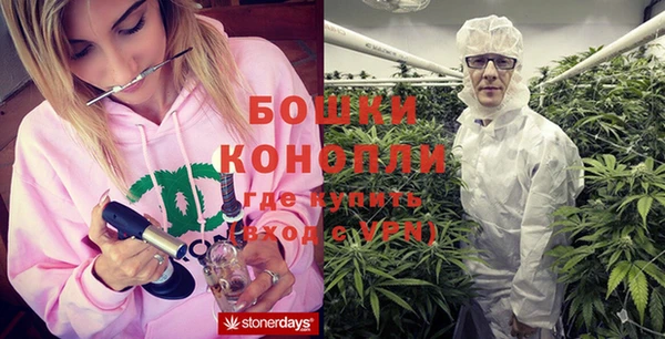 молекула духа Алзамай